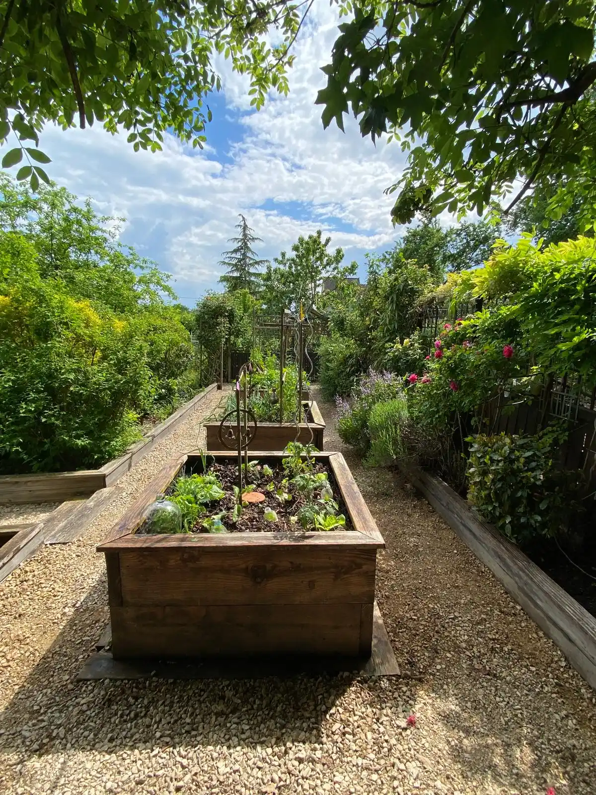 Potager avec allée de gravier et arche fleurie Potager avec allée de gravier et arche fleurie