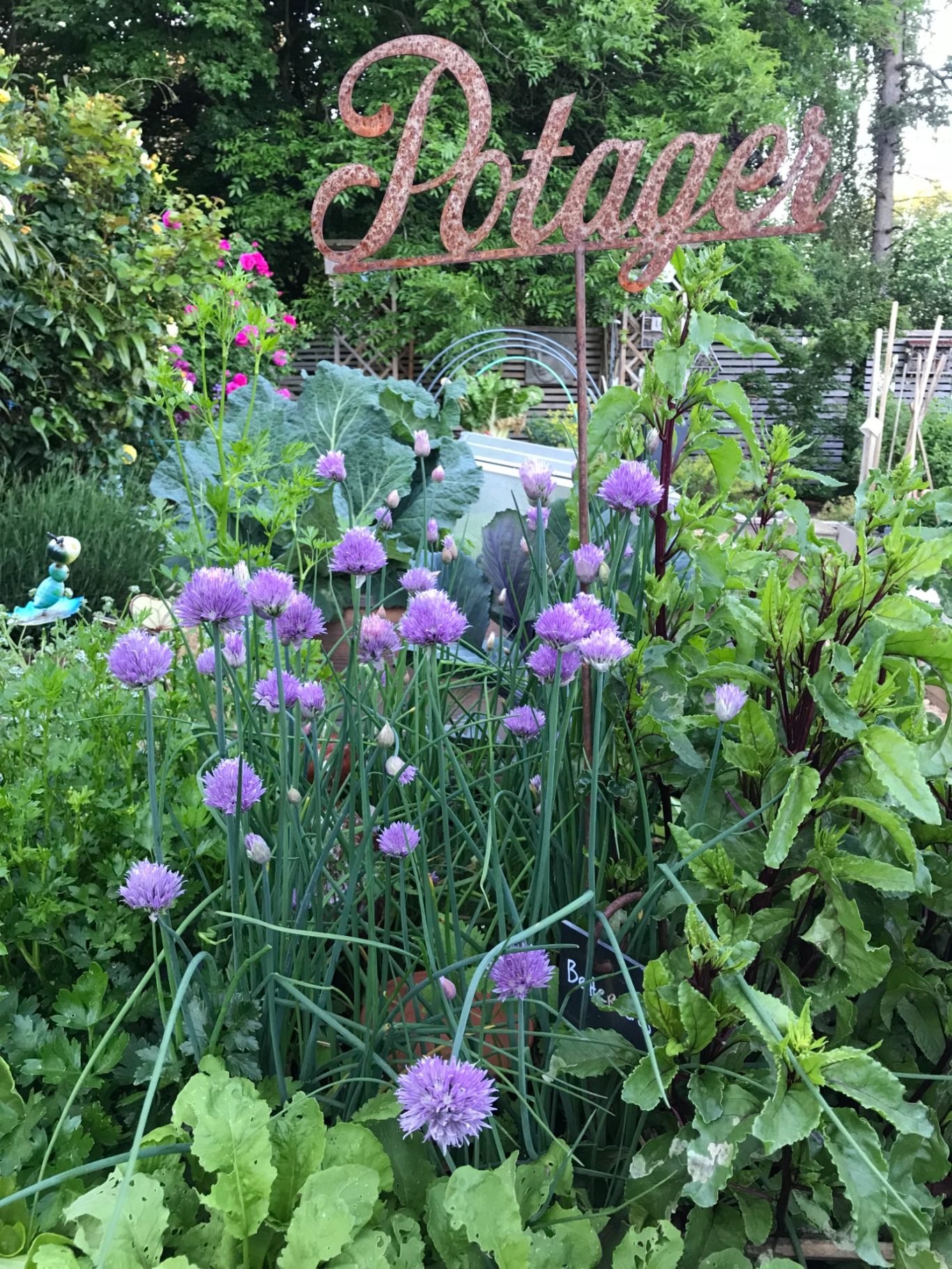 Le potager bio....